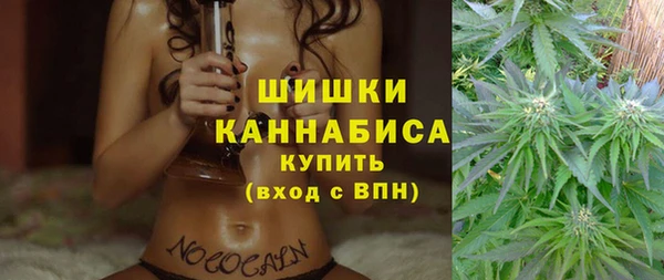 мяу мяу мука Баксан